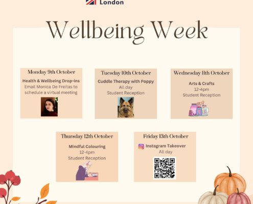 At Richmond American University London, students can participate in Wellbeing Week activities such as Health & Wellbeing Drop-ins, Cuddle Therapy with Poppy, Arts & Crafts, Mindful Colouring, and an Instagram Takeover.